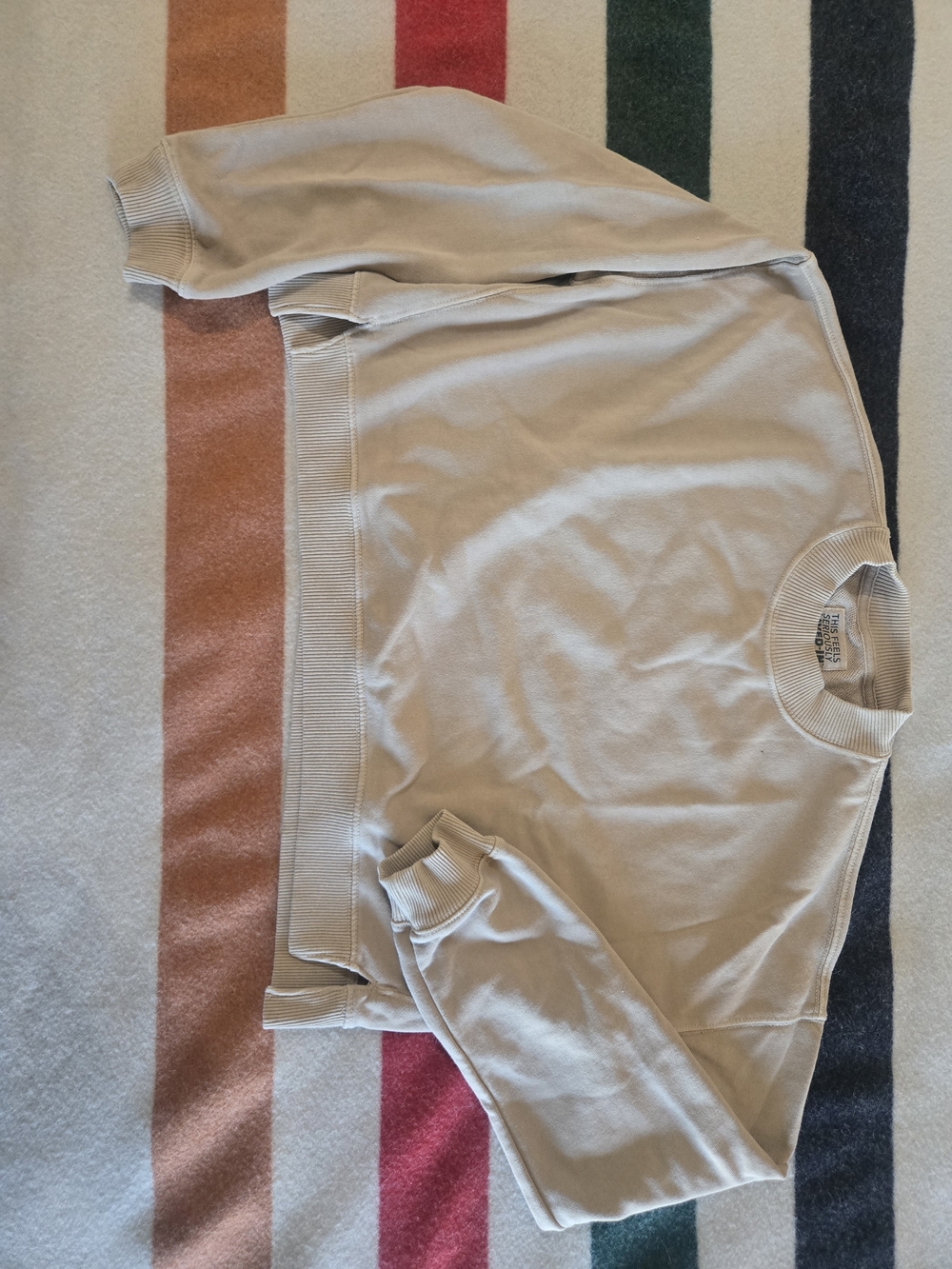 American Eagle Outfitters Cropped Neutral Beige Crewneck Sweatshirt